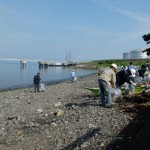 International Coastal Clean-up Day